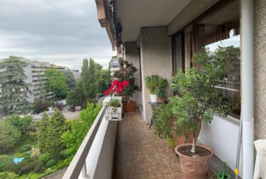 3.5 Rooms Flat