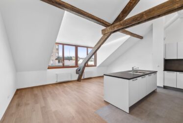 6 Rooms Flat, Penthouse flat