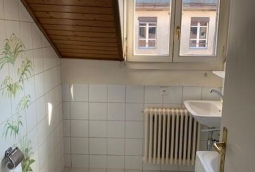 charmant 3 pièces dans les combles