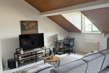 charmant 3 pièces dans les combles