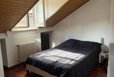 charmant 3 pièces dans les combles