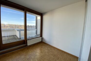 Appartement traversant en duplex - vue imprenable sur Genève