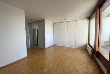 Appartement traversant en duplex - vue imprenable sur Genève