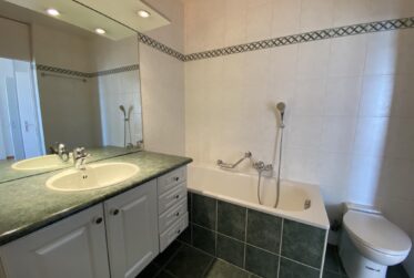 Appartement traversant en duplex - vue imprenable sur Genève