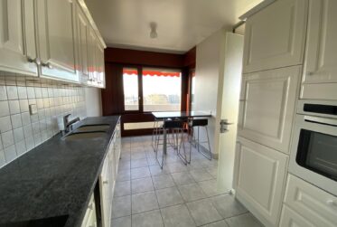 Appartement traversant en duplex - vue imprenable sur Genève