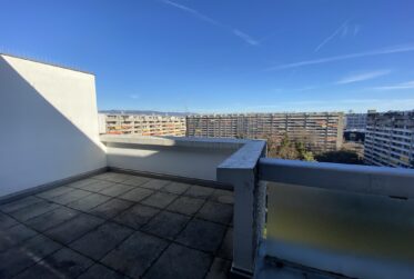Appartement traversant en duplex - vue imprenable sur Genève