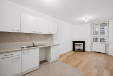 Bel appartement proche du lac