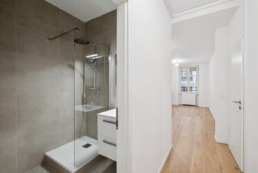 Bel appartement proche du lac