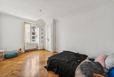 Vente en bloc de deux lots - Magnifiques appartements à Plainpalais