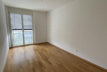 Lumineux 6 pièces avec grande terrasse