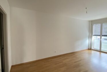Lumineux 6 pièces avec grande terrasse