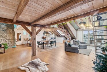 Vente en bloc de deux lots - Magnifiques appartements à Plainpalais