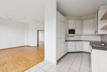 Appartement lumineux, en attique avec terrasse