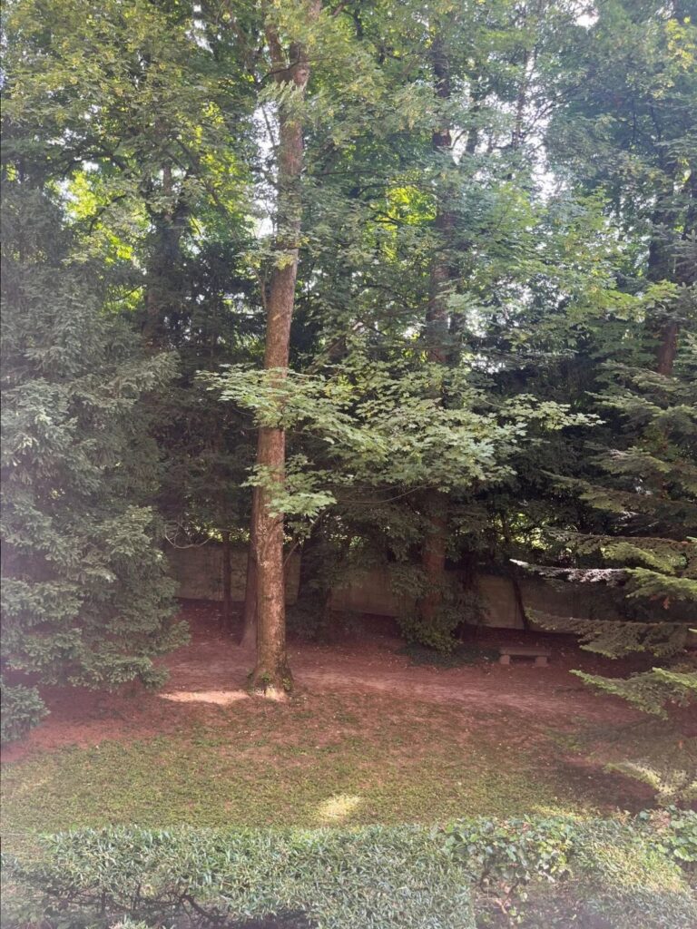 Matutina Parc – 3.5 pièces au 1er étage
