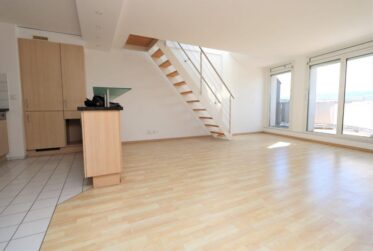 Appartement duplex avec une grande terrasse de 30m2