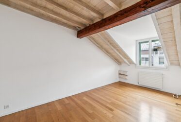RARE A PLAINPALAIS - APPARTEMENT DE 4,5 PIECES DANS LES COMBLES