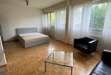 2 Rooms Flat, Furnished flat