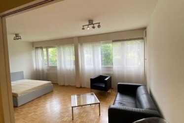 2 Rooms Flat, Furnished flat