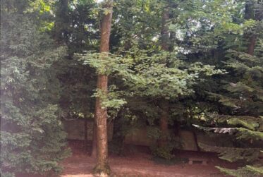 Matutina Parc - 3.5 pièces au 1er étage
