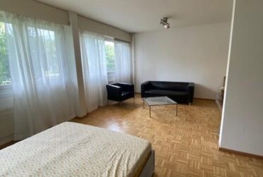 2 Rooms Flat, Furnished flat