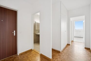 APPARTEMENT DE 3 PIECES RENOVE DANS LA GRANDE TOUR DU LIGNON