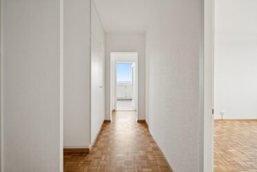APPARTEMENT DE 3 PIECES RENOVE DANS LA GRANDE TOUR DU LIGNON