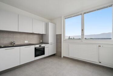 APPARTEMENT DE 3 PIECES RENOVE DANS LA GRANDE TOUR DU LIGNON