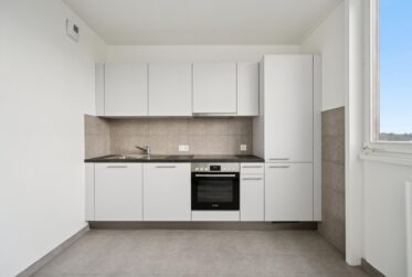 APPARTEMENT DE 3 PIECES RENOVE DANS LA GRANDE TOUR DU LIGNON