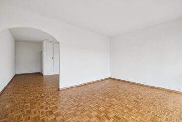 Appartement de 4 pièces à Vernier