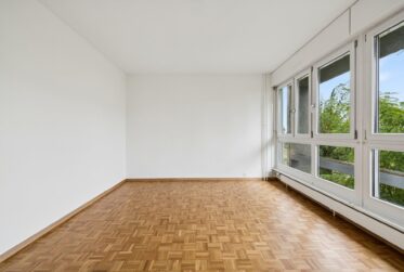 Appartement de 4 pièces à Vernier