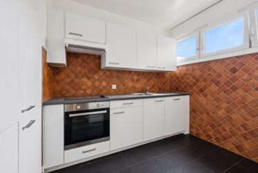 Appartement de 4 pièces à Vernier